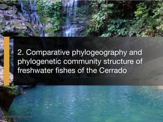 2. Comparative phylogeography and
phylogenetic community structure of
freshwater ﬁshes of the Cerrado
justinbagley.org
 