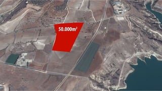 Current projectsfinal