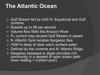 The Atlantic Ocean
 Gulf Stream fed by both N. Equatorial and Gulf
currents
 Speeds up to 5ft per second
 Volume flow 500x the Amazon River
 FL current may exceed Gulf Stream in speed
 N. Atlantic Gyre isolates Sargasso Sea
 1000 m deep of clear warm surface water
 Defined by the currents and N. Atlantic Ridge
 Sargasso seaweed or algae provides rich
community in a dessert of open ocean (with
down welling = nutrient poor)
 