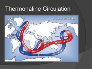 Thermohaline Circulation
 