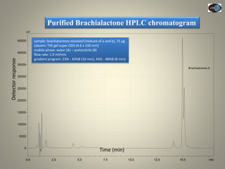 Current Status of BNI Research at JIRCAS