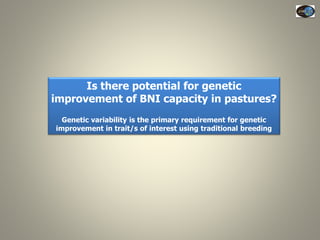 Current Status of BNI Research at JIRCAS