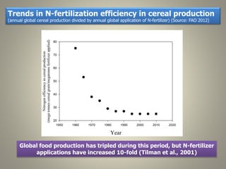 Current Status of BNI Research at JIRCAS