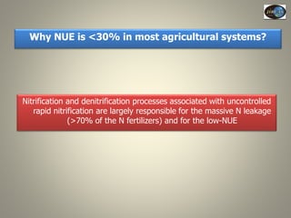 Current Status of BNI Research at JIRCAS