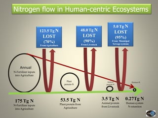 Current Status of BNI Research at JIRCAS