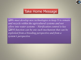 Current Status of BNI Research at JIRCAS