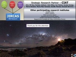 Current Status of BNI Research at JIRCAS