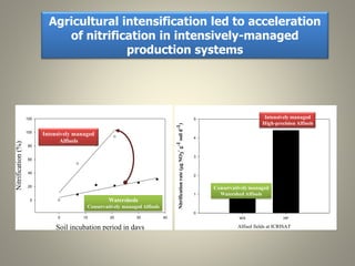 Current Status of BNI Research at JIRCAS