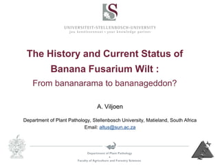 Department of Plant Pathology

Faculty of Agriculture and Forestry Sciences
A. Viljoen
Department of Plant Pathology, Stellenbosch University, Matieland, South Africa
Email: altus@sun.ac.za
The History and Current Status of
Banana Fusarium Wilt :
From bananarama to bananageddon?
 
