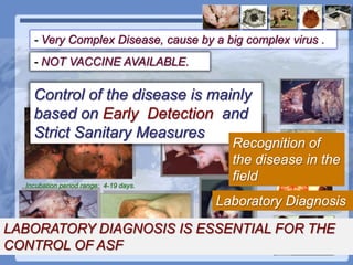 Current status of serological and nucleic acid based diagnostic techniques for ASF