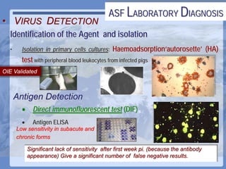 Current status of serological and nucleic acid based diagnostic techniques for ASF