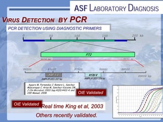 Current status of serological and nucleic acid based diagnostic techniques for ASF