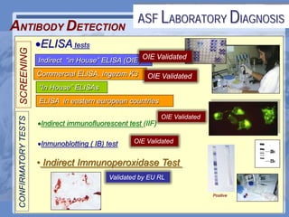Current status of serological and nucleic acid based diagnostic techniques for ASF