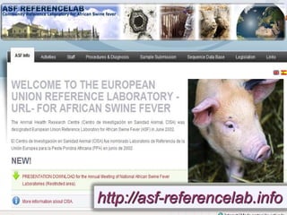 Current status of serological and nucleic acid based diagnostic techniques for ASF