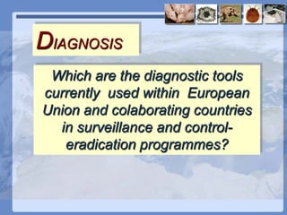 Current status of serological and nucleic acid based diagnostic techniques for ASF