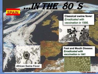 Current status of serological and nucleic acid based diagnostic techniques for ASF