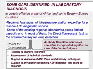 Current status of serological and nucleic acid based diagnostic techniques for ASF