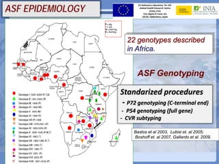 Current status of serological and nucleic acid based diagnostic techniques for ASF