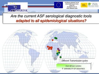 Current status of serological and nucleic acid based diagnostic techniques for ASF