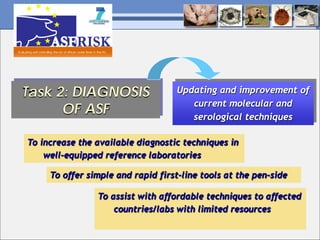 Current status of serological and nucleic acid based diagnostic techniques for ASF
