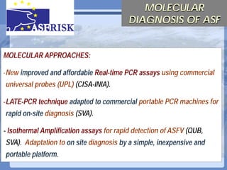 Current status of serological and nucleic acid based diagnostic techniques for ASF