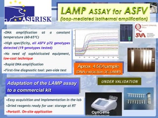 Current status of serological and nucleic acid based diagnostic techniques for ASF