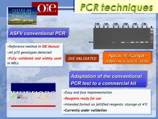 Current status of serological and nucleic acid based diagnostic techniques for ASF