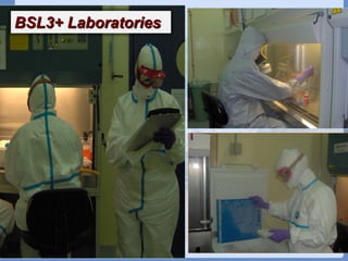 Current status of serological and nucleic acid based diagnostic techniques for ASF