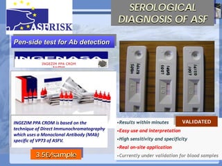Current status of serological and nucleic acid based diagnostic techniques for ASF