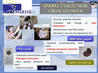 Current status of serological and nucleic acid based diagnostic techniques for ASF
