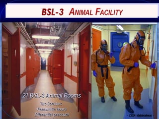 Current status of serological and nucleic acid based diagnostic techniques for ASF