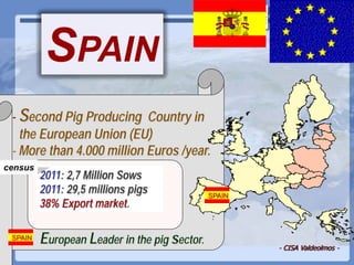 Current status of serological and nucleic acid based diagnostic techniques for ASF