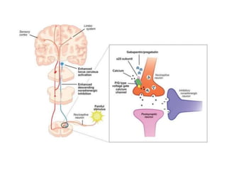 Current therapies in management of neuropathic pain | PPTX