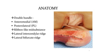 ANATOMY
Double bundle :
 Anteromedial (AM)
 Posterolateral (PL)
Ribbon-like midsubstance
Lateral intercondylar ridge
Lateral bifurcate ridge
5
 