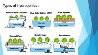 Types of hydroponics :
 