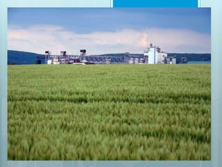 9. Low Cost FocusEnvironmentally Sensitive Production
 