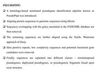 PSEUDOPIPE:
 A homology-based automated pseudogene identification pipeline known as
PseudoPipe was introduced.
 Aligning protein sequences to genomic sequences using tblastn.
 Sequences overlapping with the genes annotated in the ENSEMBL database are
then removed.
 The remaining sequences are further aligned using the Smith- Waterman
approach of tfasty.
 false positive repeats, low complexity sequences and potential functional gene
candidates were removed.
 Finally, sequences are separated into different classes - retrotransposed
pseudogenes, duplicated pseudogenes, or pseudogeneic fragments based upon
exon structure.
 