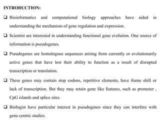 INTRODUCTION:
 Bioinformatics and computational biology approaches have aided in
understanding the mechanism of gene regulation and expression.
 Scientist are interested in understanding functional gene evolution. One source of
information is pseudogenes.
 Pseudogenes are homologous sequences arising from currently or evolutionarily
active genes that have lost their ability to function as a result of disrupted
transcription or translation.
 These genes may contain stop codons, repetitive elements, have frame shift or
lack of transcription. But they may retain gene like features, such as promoter ,
CpG islands and splice sites.
 Biologist have particular interest in pseudogenes since they can interfere with
gene centric studies.
 
