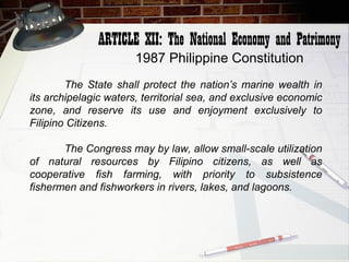 Basic Law on Natural Resources | PPT