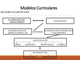 Modelos Curriculares
RITA MARINA ALVAREZ DE ZAYAS
ELABORACIÓN DEL
MARCO TEÓRICO
EXPLORACIÓN
DETERMINACIÓN DE PROBLEMAS
Y NECESIDADES
DETERMINACIÓN DEL
MODELO CURRICULAR
IDENTIFICACIÓN
RAMA PROFESIÓN PROFECSIONAL CARRERA
DETERMINACIÓN
CONTENIDOS METODOLOGÍA
 