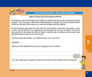 Oficina de Defensa Nacional y de Gestión del Riesgo de Desastres ODENAGED
FICHA INTERACTIVA PARA NIÑOS Y NIÑAS EN DÍAS DE EMERGENCIAFICHA INTERACTIVA PARA NIÑOS Y NIÑAS EN DÍAS DE EMERGENCIA
Puedes usar
crayolas, lápiz
o lapicero.
Capacidad: promueve acciones para la gestión de riesgo, disminución de la vulnerabilidad y el desarrollo sostenible.
Hugo nos cuenta acerca del cangrejo tumbesino
Esta especie vive en los manglares de Tumbes, se alimenta de hojas y de semillas que caen del
manglar. Tiene diez patas, dos están transformadas en tenazas, sus ojos son pedunculados,
camina de costado y hace hoyos en el suelo del manglar para protegerse.
Es importante porque posee alto valor nutritivo en proteínas y minerales, que ayuda a crecer
y tener huesos fuertes. Los cangrejeros son personas que extraen la especie durante el
año excepto en los meses de enero y febrero, periodo que se denomina veda y que todos
debemos respetar para evitar su extinción.
¡Soy muy amigo de los niños, tu cuidado me deja vivir y ser feliz!
Responde:
¿Qué es lo más importante para que el cangrejo viva en Tumbes?
¿Por qué crees que el cangrejo no debe ser extraído en los meses de enero y febrero?
71
5
 