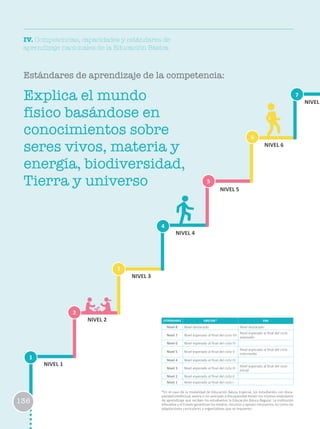 IV. Competencias, capacidades y estándares de
aprendizaje nacionales de la Educación Básica
Estándares de aprendizaje de la competencia:
ESTÁNDARES EBR/EBE* EBA
Nivel 8 Nivel destacado Nivel destacado
Nivel 7 Nivel esperado al final del ciclo VII
Nivel esperado al final del ciclo
avanzado
Nivel 6 Nivel esperado al final del ciclo VI
Nivel 5 Nivel esperado al final del ciclo V
Nivel esperado al final del ciclo
intermedio
Nivel 4 Nivel esperado al final del ciclo IV
Nivel 3 Nivel esperado al final del ciclo III
Nivel esperado al final del ciclo
Inicial
Nivel 2 Nivel esperado al final del ciclo II
Nivel 1 Nivel esperado al final del ciclo I
*En el caso de la modalidad de Educación Básica Especial, los estudiantes con disca-
pacidad intelectual severa o no asociada a discapacidad tienen los mismos estándares
de aprendizaje que reciben los estudiantes la Educación Básica Regular. La institución
educativa y el Estado garantizan los medios, recursos y apoyos necesarios, así como las
adaptaciones curriculares y organizativas que se requieren.
Explica el mundo
físico basándose en
conocimientos sobre
seres vivos, materia y
energía, biodiversidad,
Tierra y universo
1
2
3
6
4
7
5
NIVEL 1
NIVEL 2
NIVEL 3
NIVEL 4
NIVEL 5
NIVEL 6
NIVEL
136
 