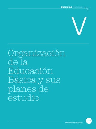 Currículo Nacional
cn
V
Organización
de la
Educación
Básica y sus
planes de
estudio
171
Ministerio de Educación
 