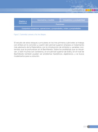 MATEMÁTICA
227
Introducción
En la siguiente figura consta la estructura de los bloques curriculares, así como los
contenidos comunes a todos ellos de forma transversal.
Álgebra y
funciones
Geometría y medida
Funciones
Conjuntos numéricos, operaciones y propiedades, orden y propiedades
Estadística y probabilidad
Figura 5. Contenidos comunes a los tres bloques
El estudio de estos bloques curriculares en los tres primeros subniveles se trabaja
con énfasis en lo concreto y a partir del subnivel superior empieza un tratamiento
más abstracto de la Matemática, con la introducción de símbolos y variables; con-
tenidos que se profundizan en el Bachillerato. Sobre los problemas que se resuel-
ven, si bien muchos son cotidianos, en el subnivel superior de EGB y en el nivel de
Bachillerato también pueden ser problemas hipotéticos, algebraicos, y se busca
modelizarlos para su solución.
 