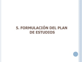 5. FORMULACIÓN DEL PLAN
DE ESTUDIOS
 