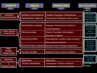 39
COMUNIDAD
Y SOCIEDAD
COSMOS Y
PENSAMIENTO
VIDA
TIERRA
TERRITORIO
CIENCIA,
TECNOLOGIA
Y
PRODUCCIÓN
AREAS
CAMPOS
Educación
en valores
socio
comunitario
s
Ejes Articuladores
Filosofía y Cosmovisiones
Espiritualidad y religiones
Comunicación y lenguas
Ciencias sociales
Educación artística
Educación física y deportes
Ciencias naturales
Matemática
Técnica y tecnologías
Educación
intracultural
intercultural
plurilingüe
Convivenci
a con la
naturaleza
y salud
comunitaria
Educación
para la
producción
Filosofía / Psicología / Cosmovisiones
Espiritualidad / Religiones / Ética y moral
Lenguaje / Comunicación / Literatura /
Lengua extranjera
Historia / Sociología / Antropología /
Educación ciudadana
Artes plásticas y visuales / Artes musicales /
Artes escénicas / Danzas
Educación física / Disciplinas Deportivas
Geografía / Física / Química / Biología
Matemática
Computación / Técnica vocacional /
Investigación / Ciencia y Tecnología
DISCIPLINAS
 