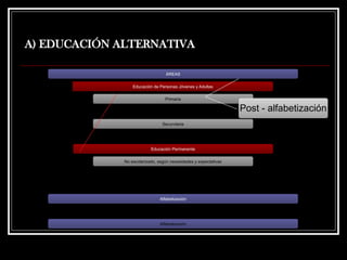 A) EDUCACIÓN ALTERNATIVA
ÁREAS
Educación de Personas Jóvenes y Adultas
Primaria
Secundaria
Educación Permanente
No escolarizado, según necesidades y expectativas
Alfabetización
Alfabetización
Post - alfabetización
 