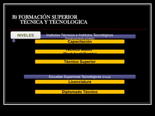 B) FORMACIÓN SUPERIOR
TÉCNICA Y TÉCNOLOGICA
Institutos Técnicos e Institutos Tecnológicos
(Fiscal-convenio–privado)
Capacitación
Técnico Medio
(Post-bachillerato)
Técnico Superior
Escuelas Superiores Tecnológicas (Fiscal)
Licenciatura
Diplomado Técnico
NIVELES
 