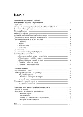 Curriculo centros complementarios pcia bs as | PDF