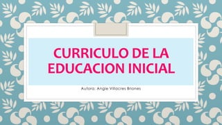 CURRICULO DE LA
EDUCACION INICIAL
Autora: Angie Villacres Briones
 